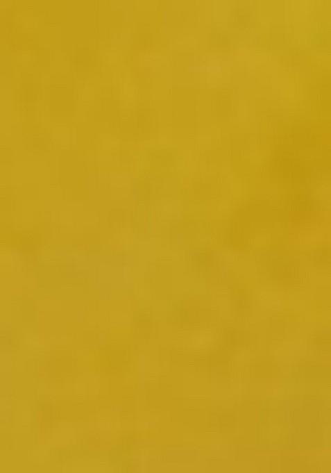 Devdas Embroidered Georgette Saree Set