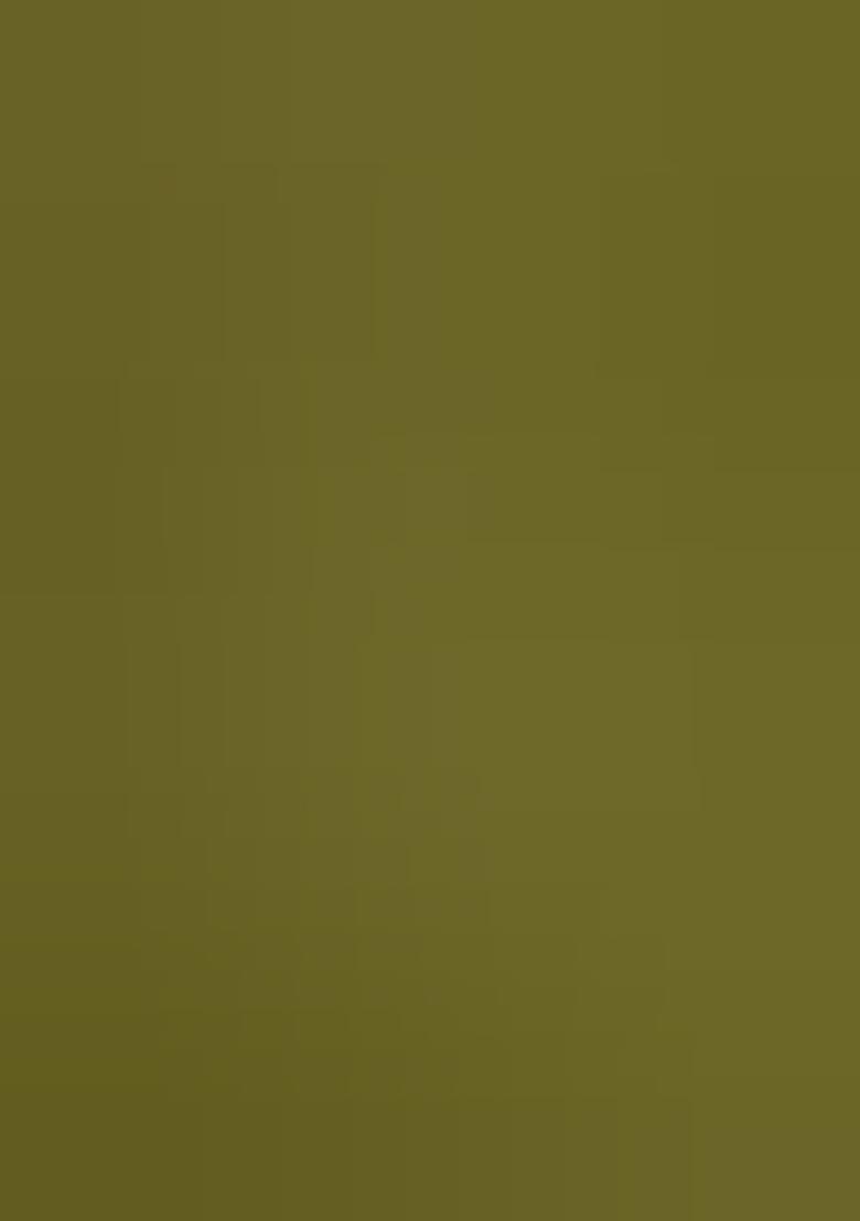 Olive Embroidered Silk Saree Set