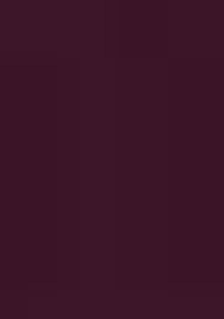 Wine Embroidered Georgette Saree Set