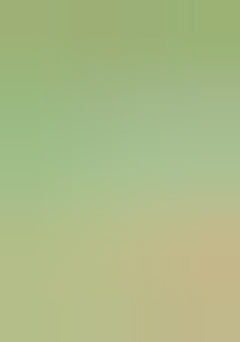 Light Green Embroidered Silk Saree Set