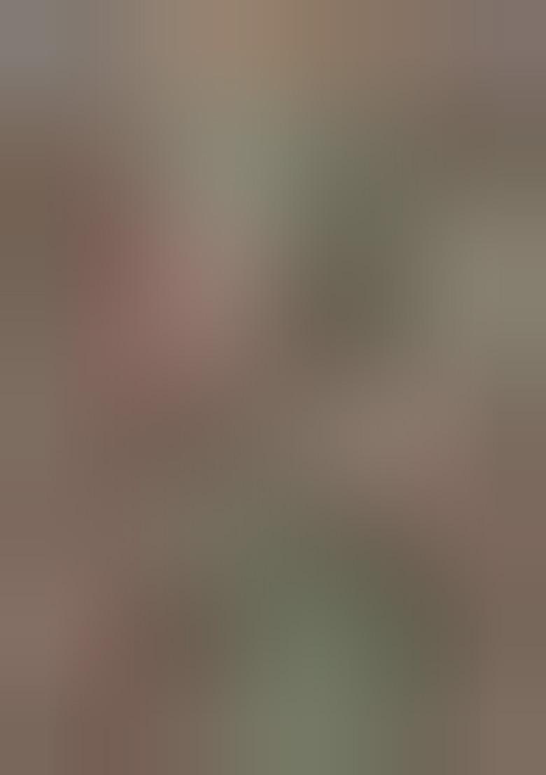 Gold And Silver Embroidered Tissue Cotton Saree Set