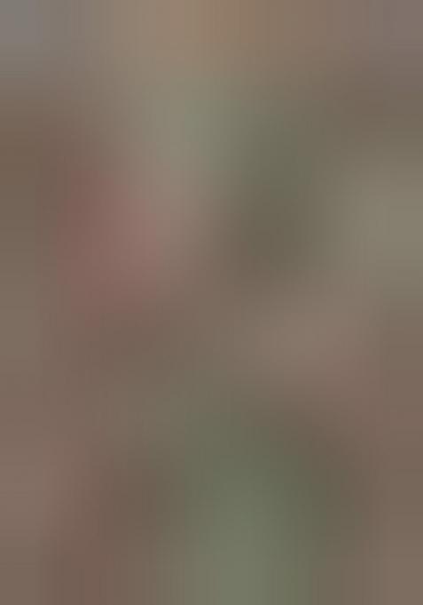 Gold And Silver Embroidered Tissue Cotton Saree Set