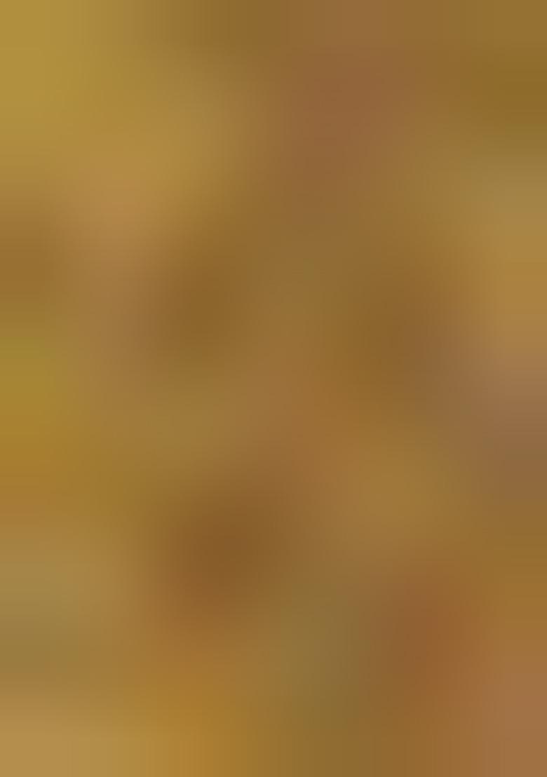 Green Embroidered Handloom Cotton Saree Set