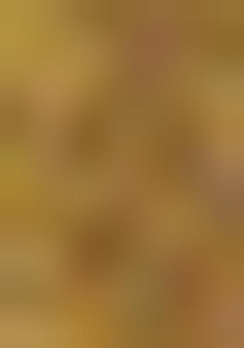 Green Embroidered Handloom Cotton Saree Set