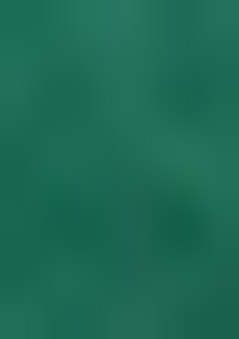 Green Weaving Cotton Saree Set