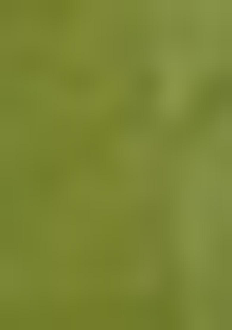 Perrot Green Weaving Viscose Organza Saree Set