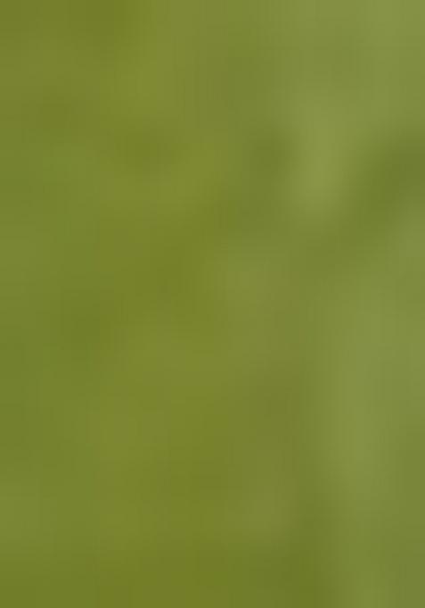 Perrot Green Weaving Viscose Organza Saree Set