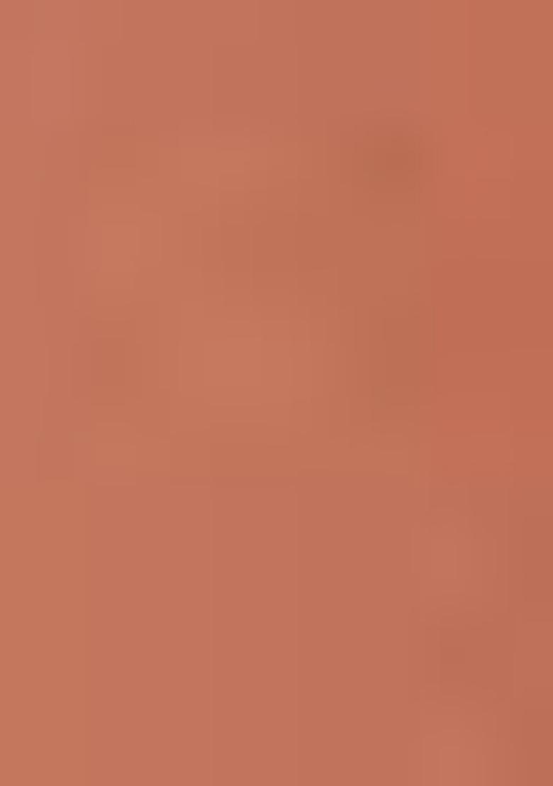 Light Peach Embroidererd Net Saree Set