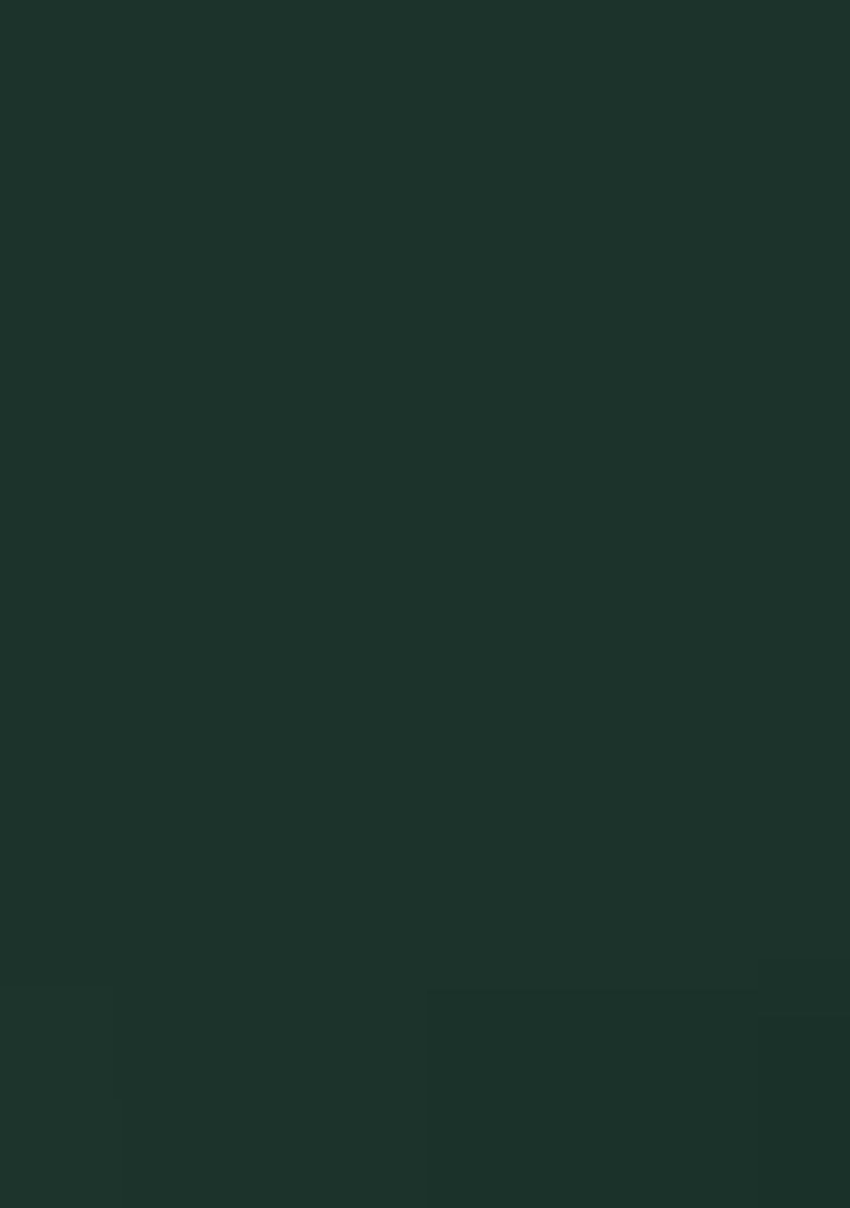 Green Jacquard Work Soft Lichi Silk Saree Set