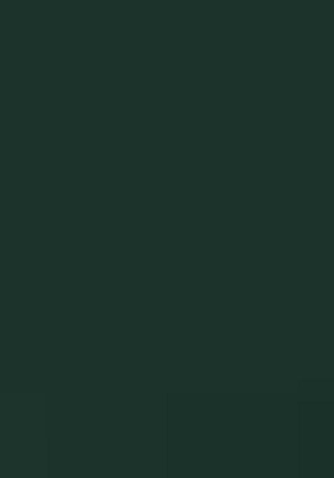 Green Jacquard Work Soft Lichi Silk Saree Set