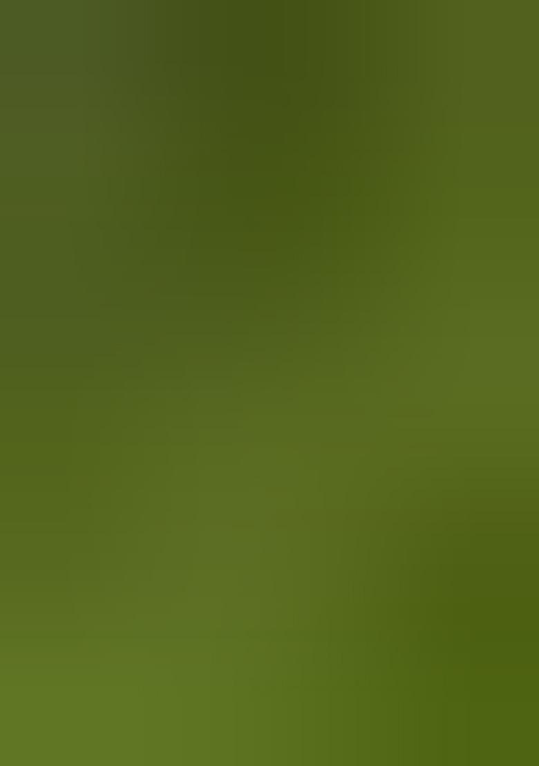 Mehendi Green Jacquard Work Soft Lichi Silk Saree Set