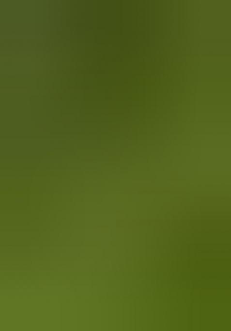 Mehendi Green Jacquard Work Soft Lichi Silk Saree Set