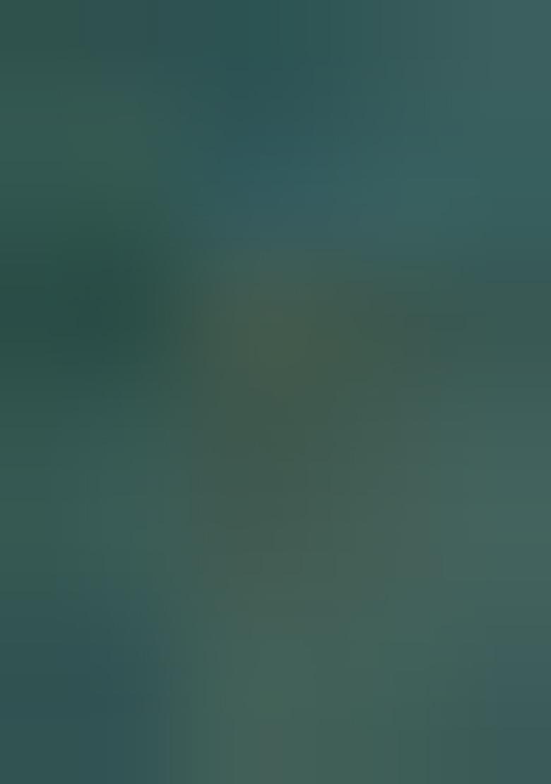 Green Jacquard Work Soft Lichi Silk Saree Set