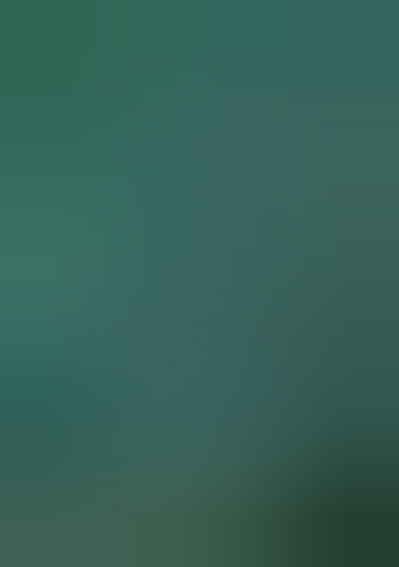 Green Jacquard Work Soft Lichi Silk Saree Set