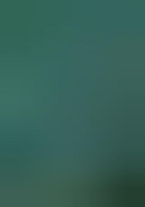 Green Jacquard Work Soft Lichi Silk Saree Set