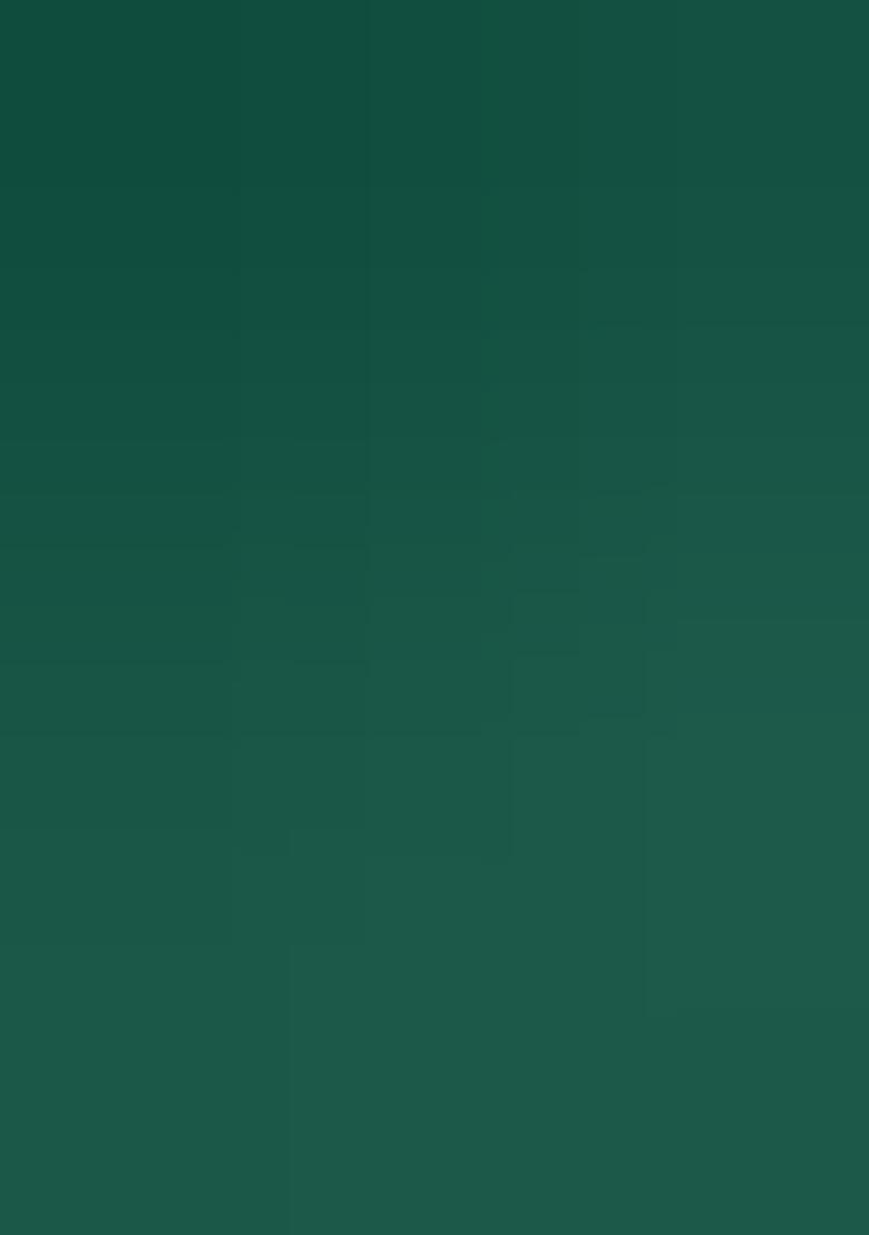 Green Jacquard Work Soft Lichi Silk Saree Set