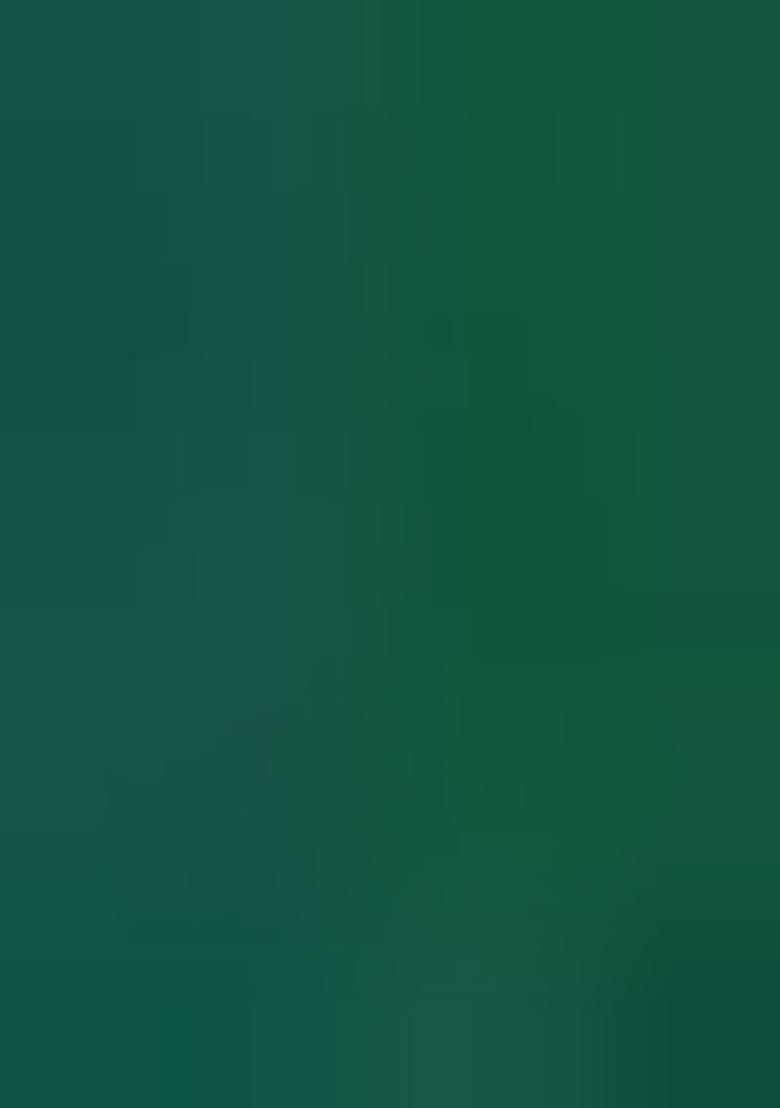 Green Mirror Work Chinnon Saree Set