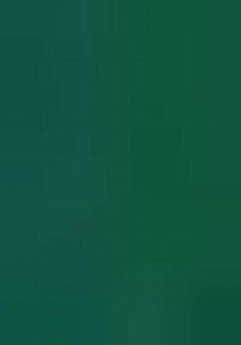 Green Mirror Work Chinnon Saree Set