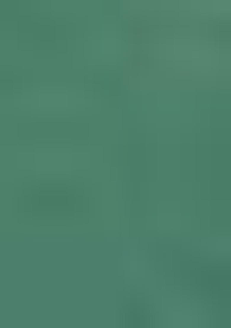 Green Embroidered Net Saree Set