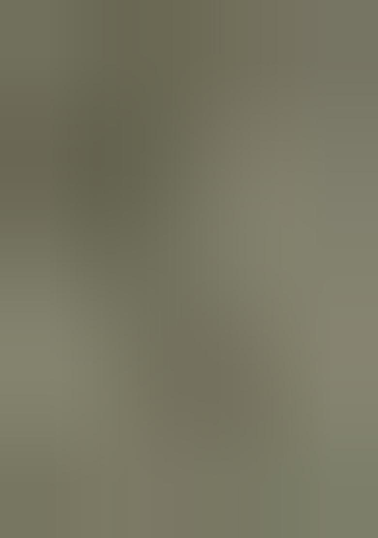 Gray Printed Silk Saree