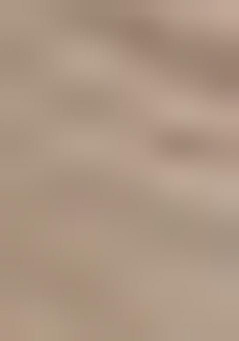 Beige Printed Silk Saree