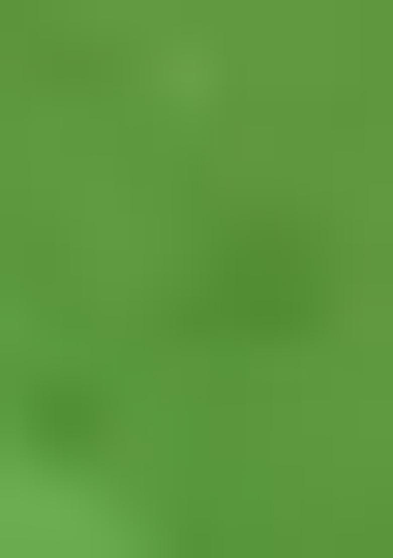 Green Printed Silk Saree