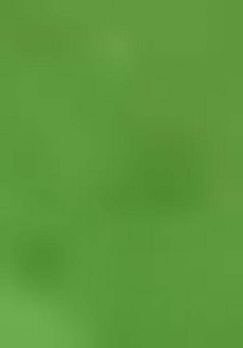 Green Printed Silk Saree