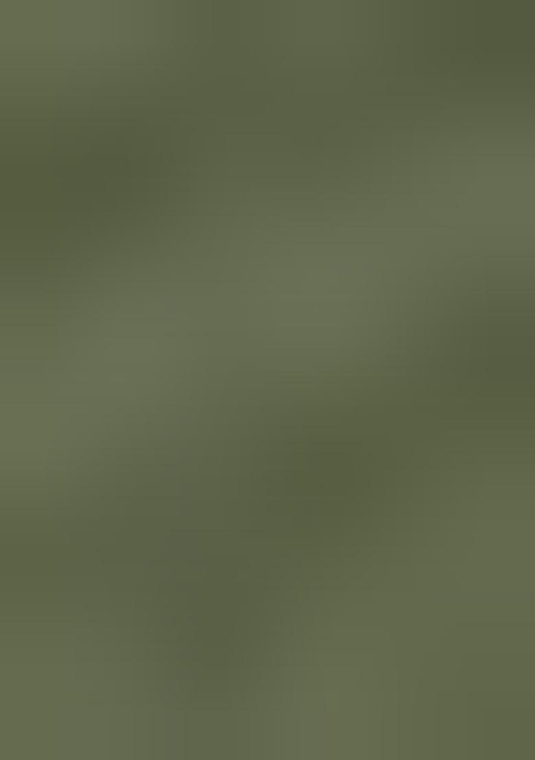 Light Green Printed Silk Saree