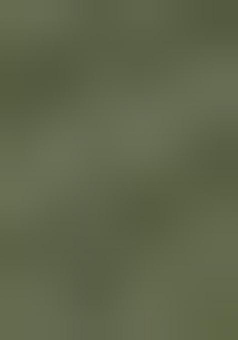 Light Green Printed Silk Saree