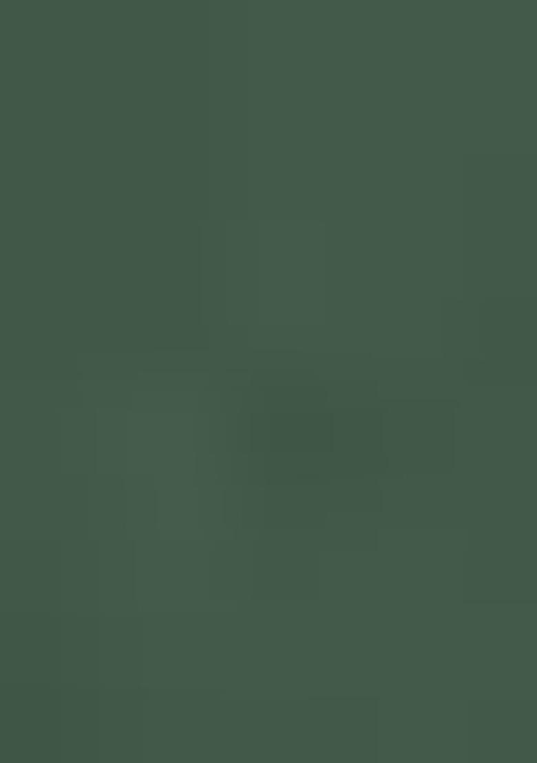 Green Printed Silk Saree