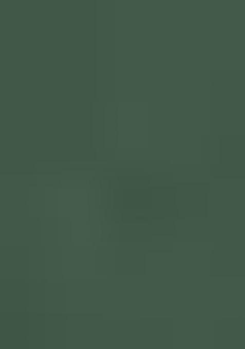 Green Printed Silk Saree