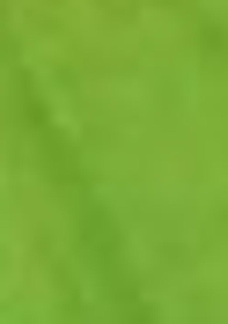 Light Green Printed Silk Saree