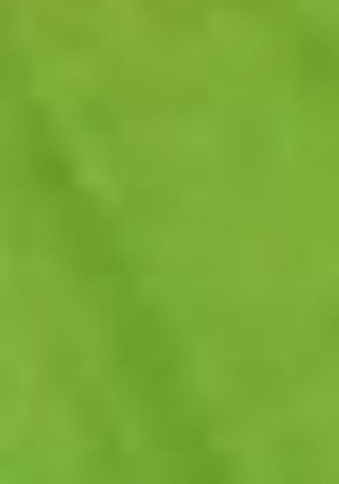 Light Green Printed Silk Saree