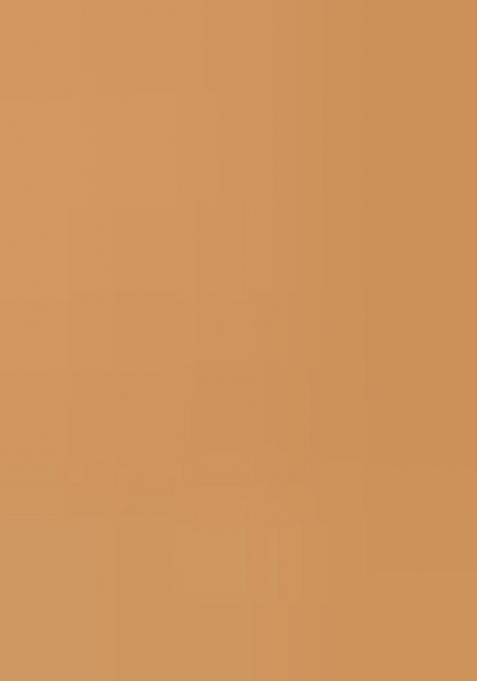 Peach Printed Silk Saree