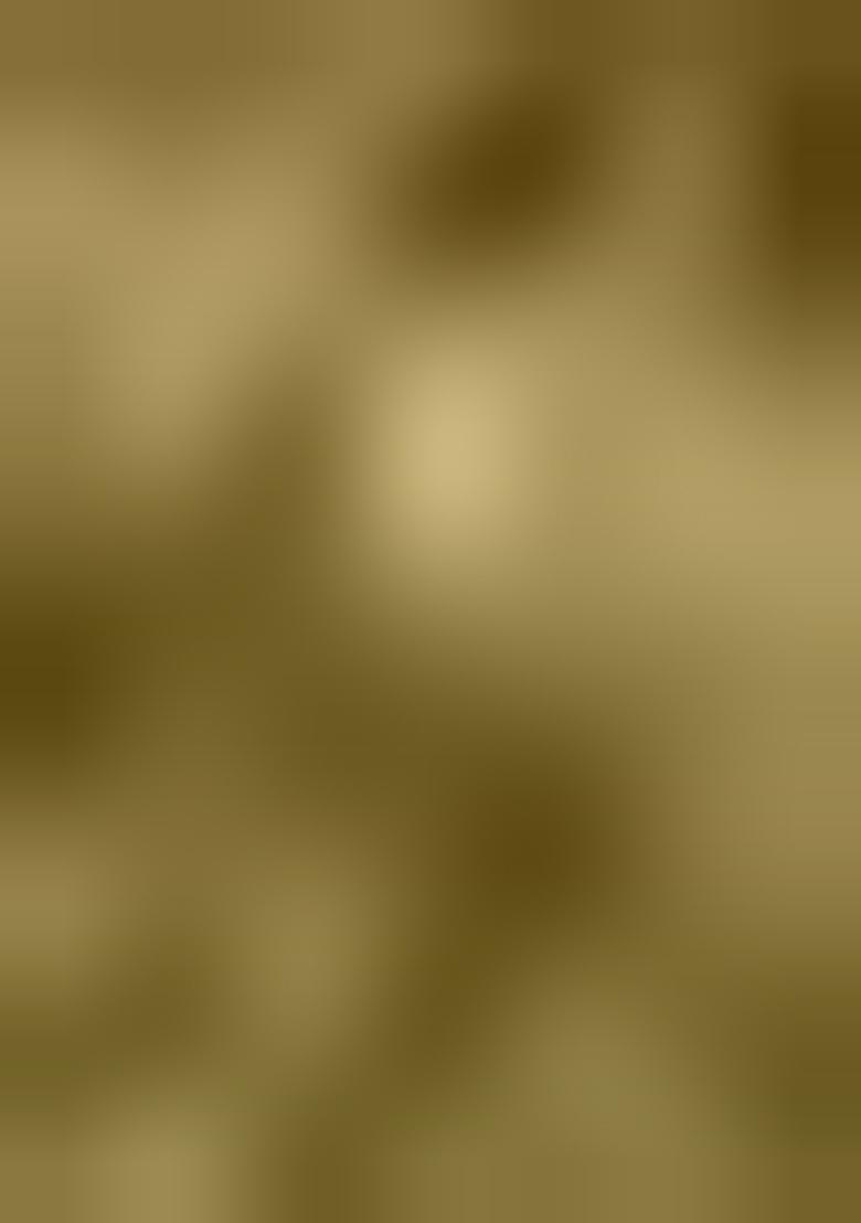 Green Printed Silk Saree