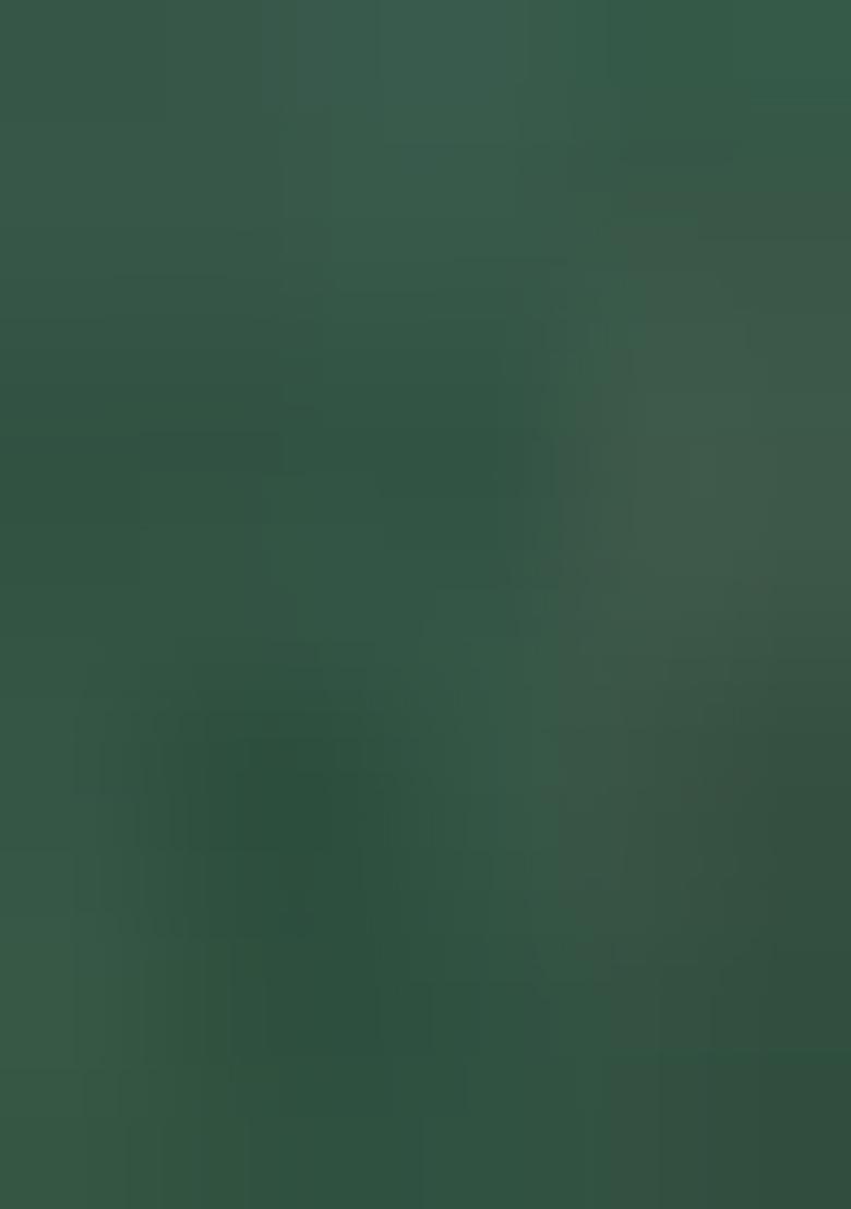 Green Printed Silk Saree