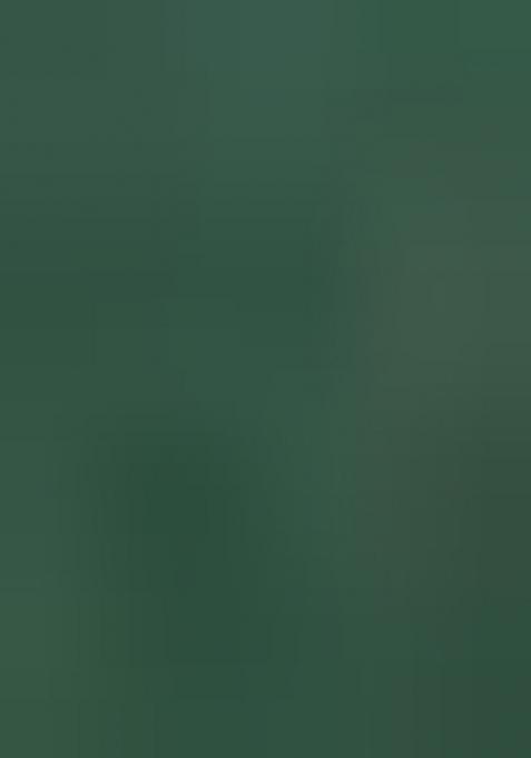 Green Printed Silk Saree