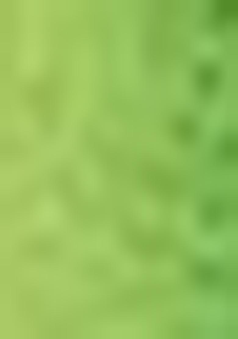 Light Green Printed Silk Saree