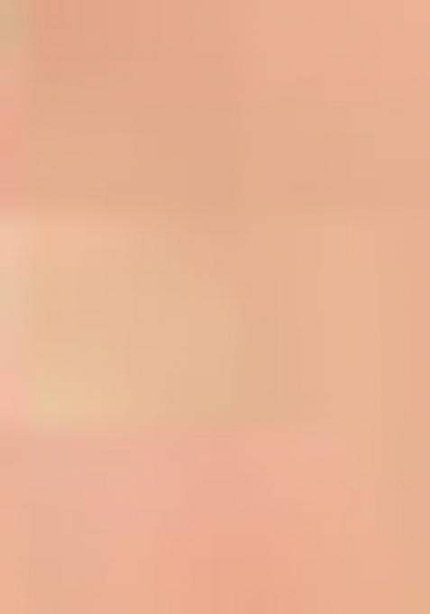 Peach Printed Silk Saree