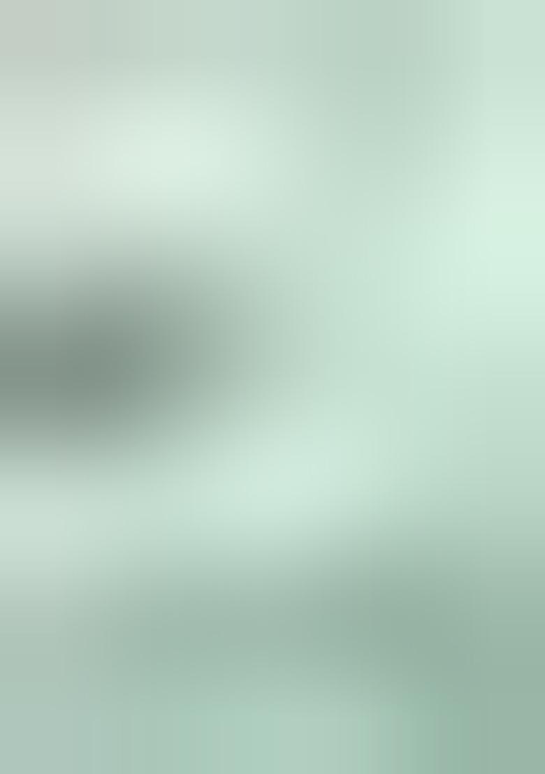 Light Green Printed Silk Saree