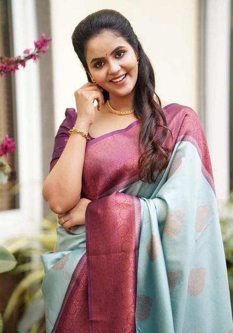 Sky Blue Printed Silk Saree