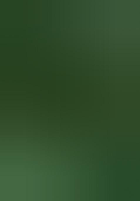 Green Printed Silk Saree