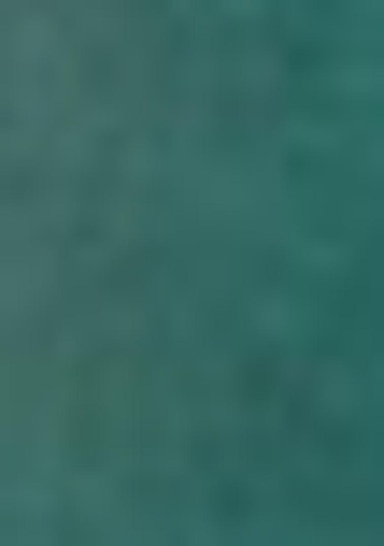 Sky Blue Printed Silk Saree