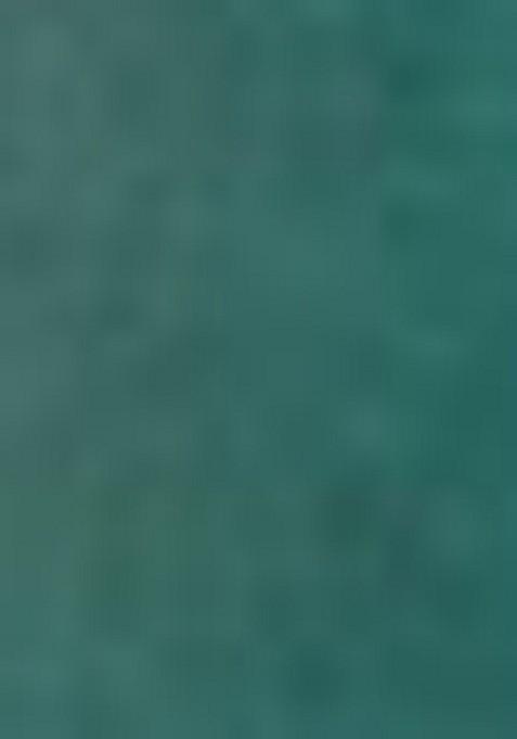 Sky Blue Printed Silk Saree