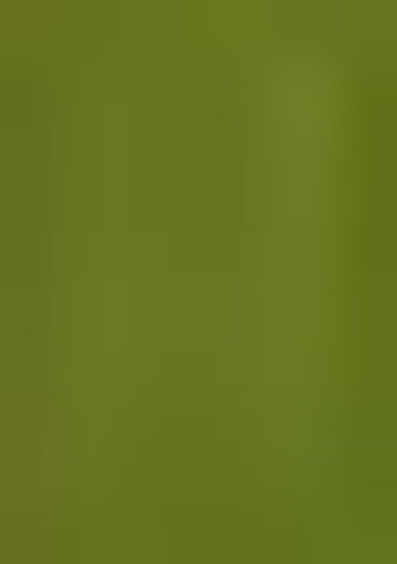 Green Printed Silk Saree