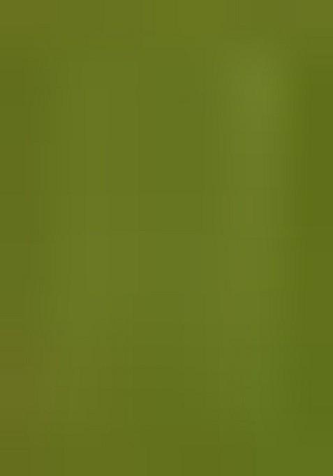 Green Printed Silk Saree