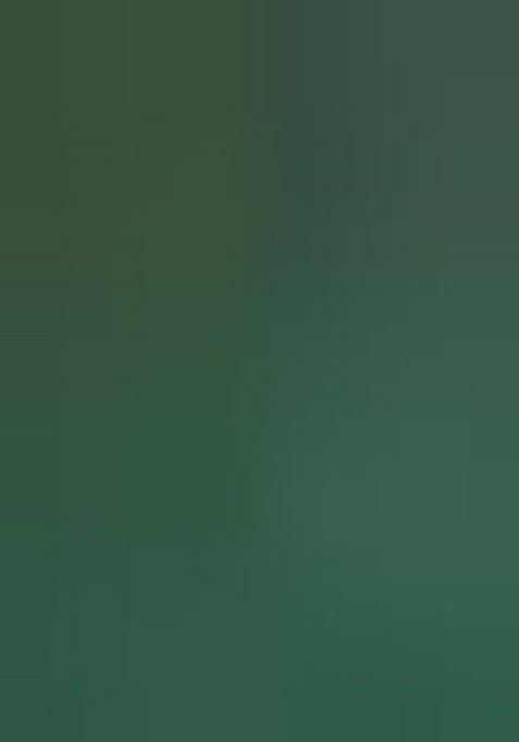 Green Printed Silk Saree