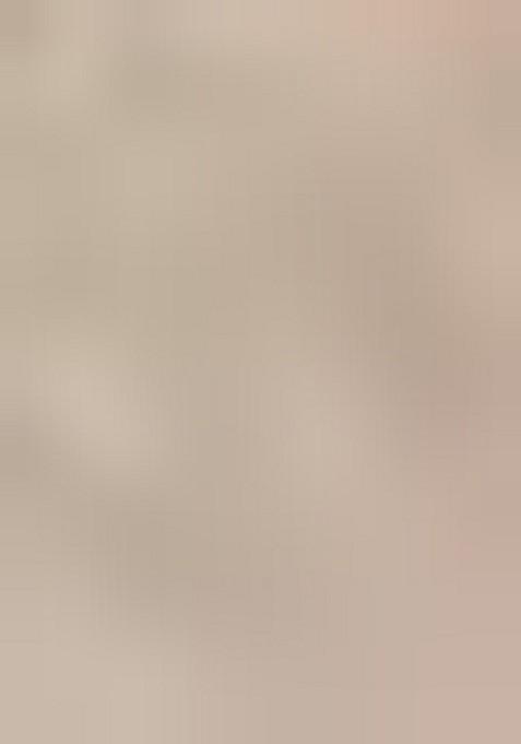 Cream Printed Silk Saree