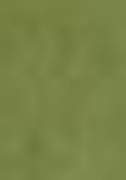 Light Green Printed Silk Saree