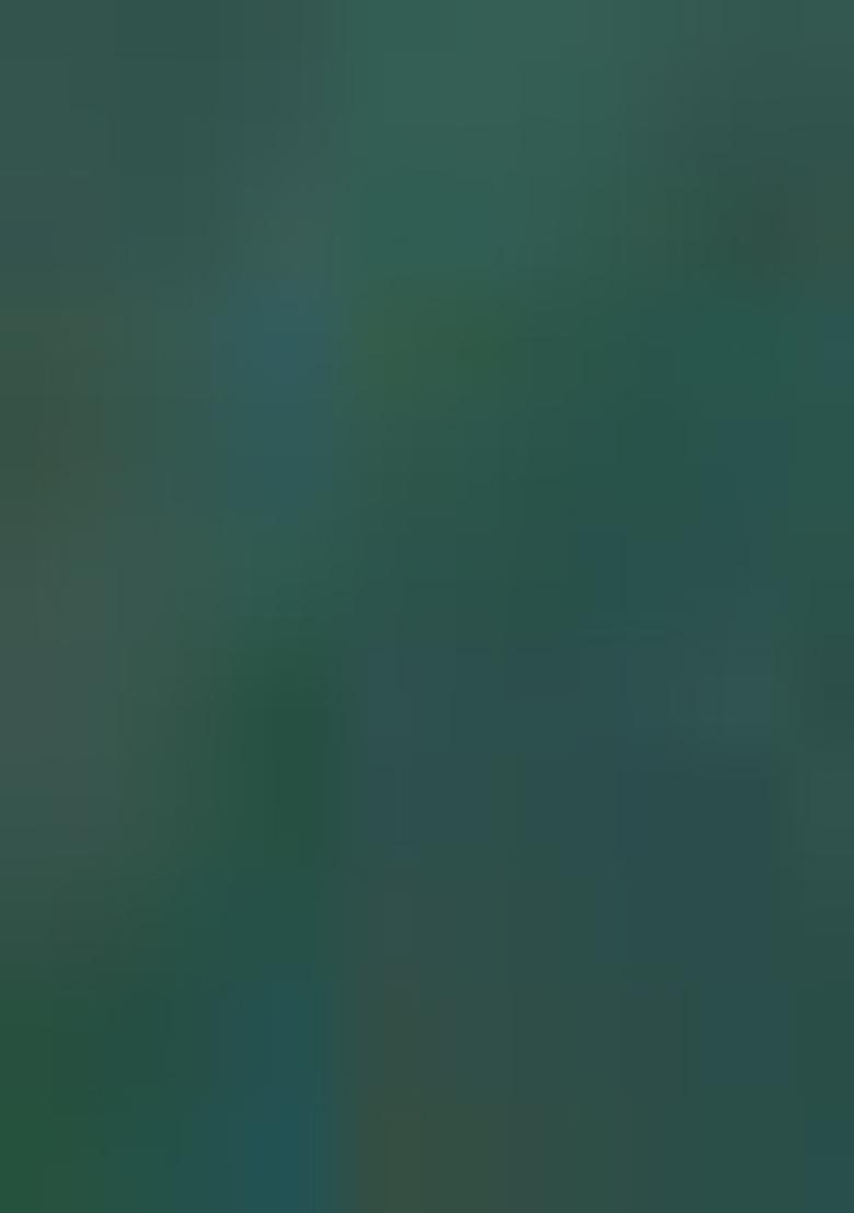 Green Printed Silk Saree